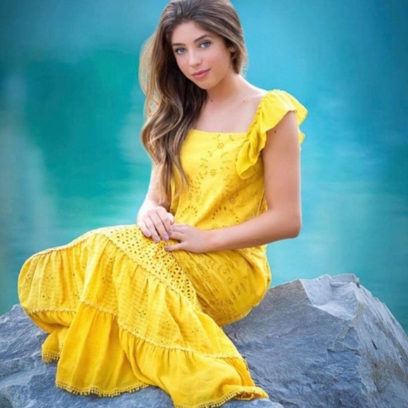 Anthropologie Fallon Eyelet Maxi Dress - Picture 16 of 16